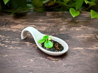 Image 2 of Miniature Koi Pond: Black Sand and Lillly Pad