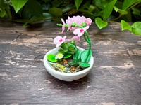 Image 1 of Miniature Koi Pond: Gold Fish and Pink Orchid