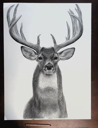 Image 2 of 18x24 Original art “Prince of the forest” 2025