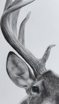 Image 4 of 18x24 Original art “Prince of the forest” 2025