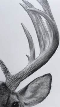 Image 6 of 18x24 Original art “Prince of the forest” 2025