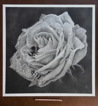 Image 2 of 16x16 ORIGINAL ART “Love drops”