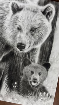 Image 4 of 18x24 “Original Artwork “Momma bear knows best)