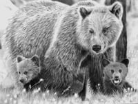 Image 1 of 18x24 “Original Artwork “Momma bear knows best)