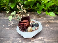 Image 1 of Gem Garden: Rose, Tourmaline, Picture Jasper