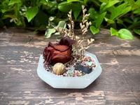 Image 2 of Gem Garden: Rose, Tourmaline, Picture Jasper