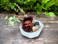 Image 3 of Gem Garden: Rose, Tourmaline, Picture Jasper