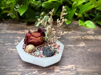 Image 4 of Gem Garden: Rose, Tourmaline, Picture Jasper