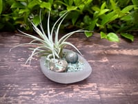 Image 1 of Gem Garden: Ammonite Sphere  
