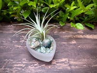 Image 2 of Gem Garden: Ammonite Sphere  