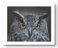 Image 1 of Giclee print “Prowler of the night” 2022