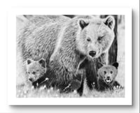 Image 1 of Giclee print “Momma bear knows best”