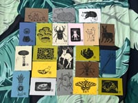 4x6 mystery print 