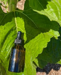 Image 1 of Hair & Body Oil - Unscented 