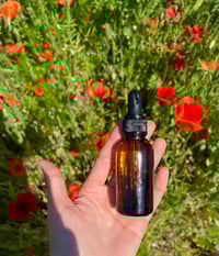 Image 3 of Hair & Body Oil - Unscented 