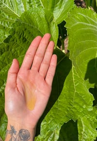 Image 4 of Hair & Body Oil - Unscented 