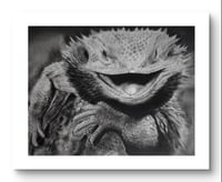 Giclee print “A happy fellow” 2021