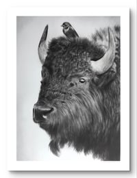 Giclee print “A gentle encounter”2022
