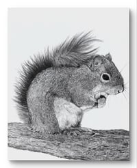 Giclee print “Zoomie” 2021