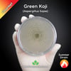 Green Koji Mold (Aspergillus Sojae) Live Mycelium Mushroom Culture Spawn Seed