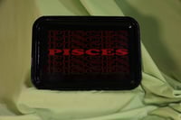 Image 2 of Zodiac Trays