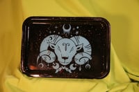 Image 3 of Zodiac Trays