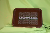 Image 8 of Zodiac Trays