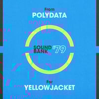 Cherry Audio Yellowjacket - Sound Bank '79