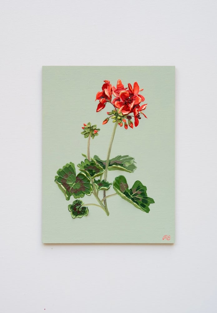 Image of Geranium On Alcove Green