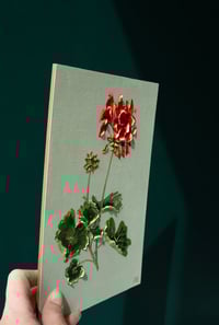 Image 3 of Geranium On Alcove Green