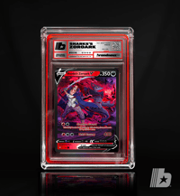 "Shank's Zoroark"