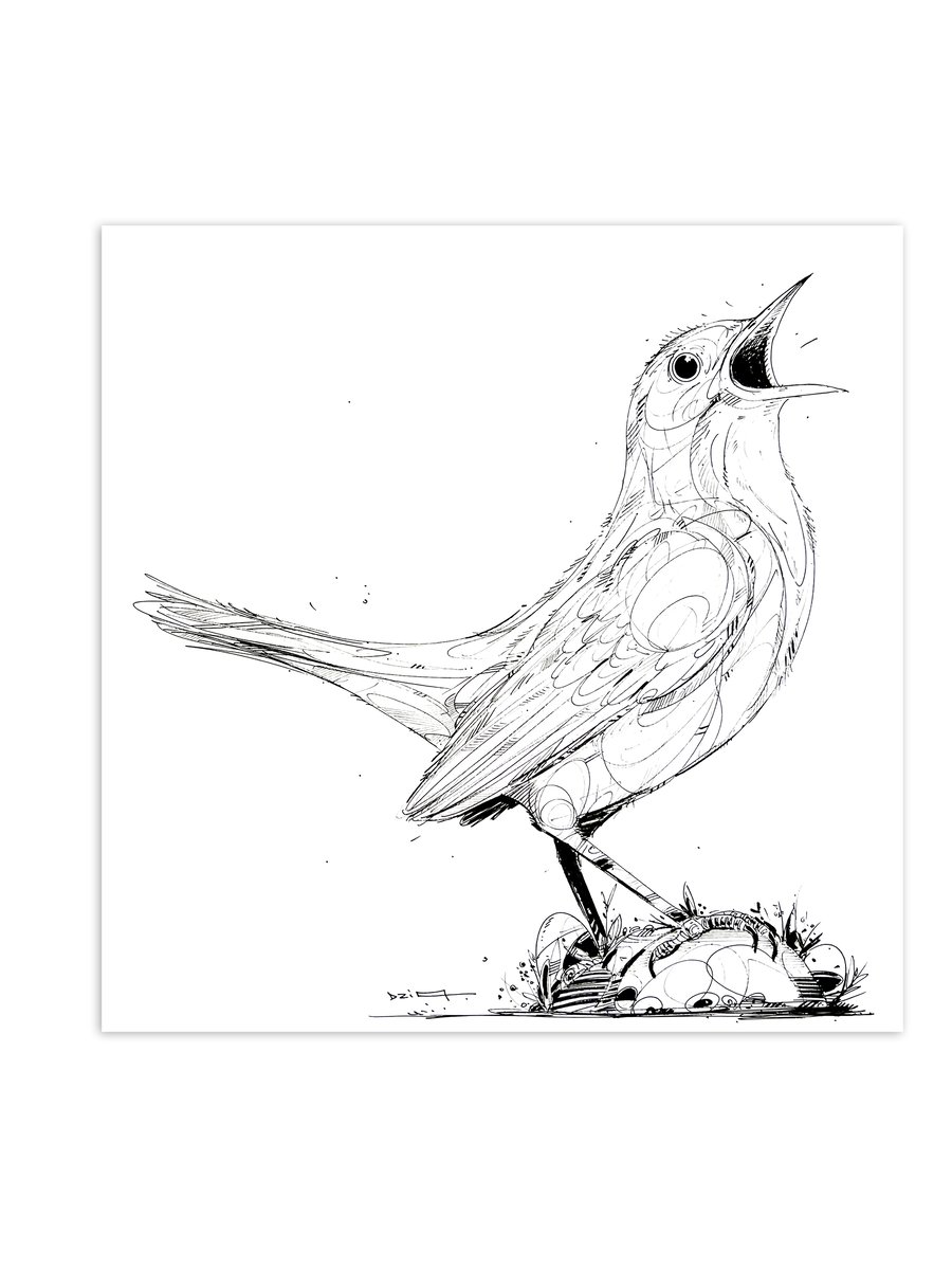 Image of BIRD CALLING A