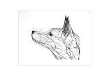 FOX LOOKING UP 2