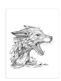 FOX BITE