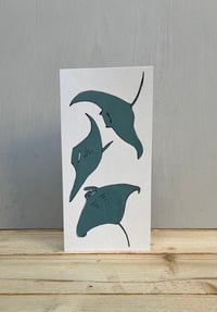 Image 3 of Manta Rays card