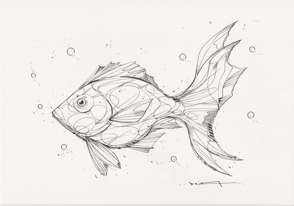 Image of FISH 5