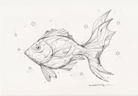 FISH 5
