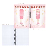 Image 1 of problematic notebook