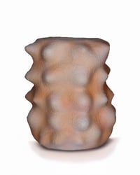 Image 4 of SPORE POD VASE