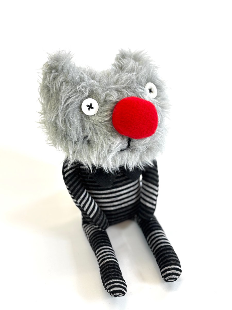 Image of Graham the cat 