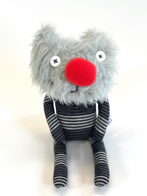 Image of Graham the cat 
