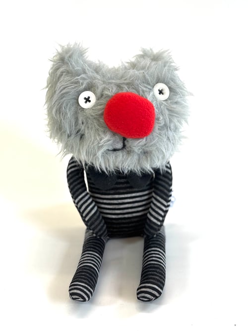 Image of Graham the cat