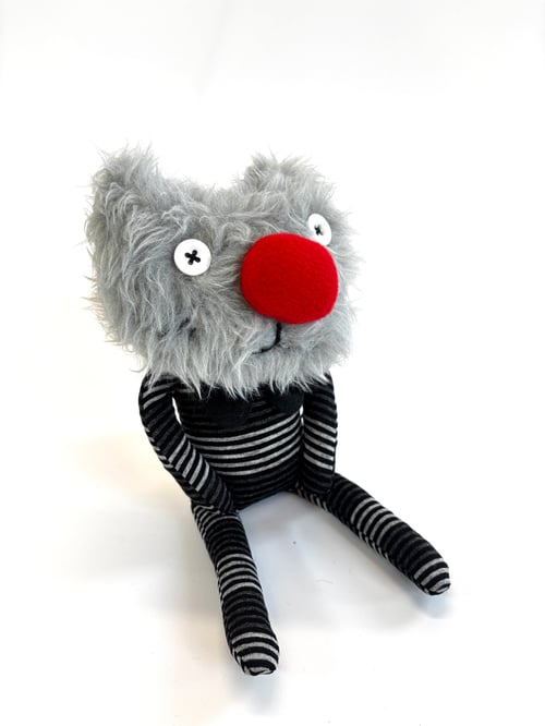 Image of Graham the cat