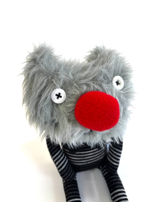 Image of Graham the cat