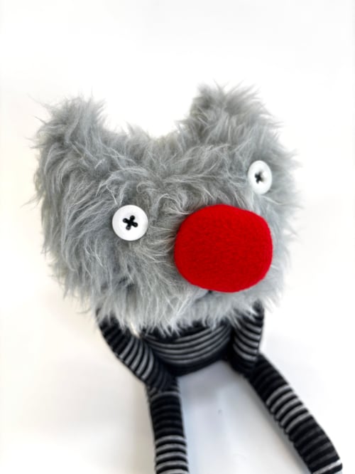 Image of Graham the cat