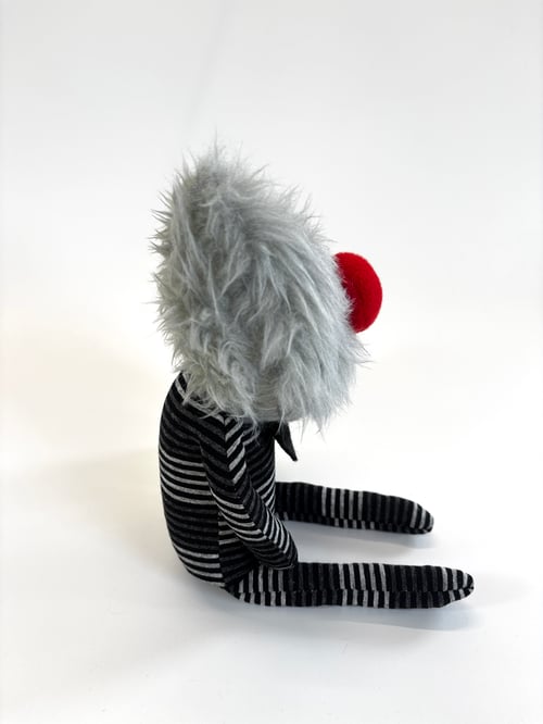 Image of Graham the cat