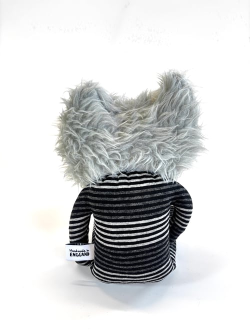 Image of Graham the cat