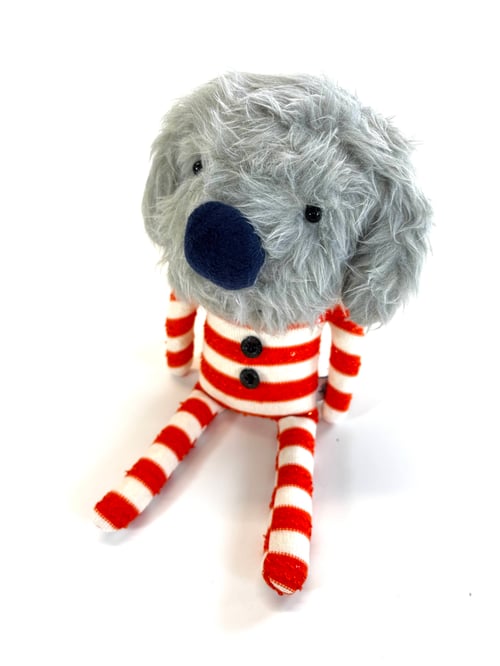 Image of Jamie the dog