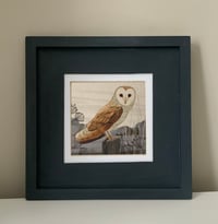 Image 1 of Barn Owl Wall Art