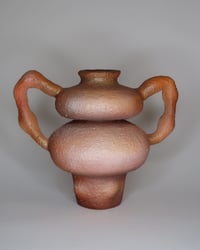 BIO-MORPH SYMBIOSE VASE